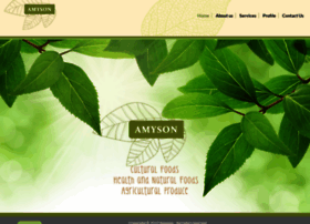 amyson.com.au