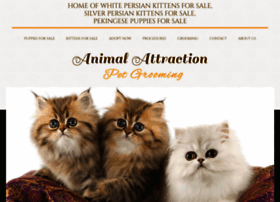animalattractionpetgrooming.com
