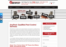 anypest.ca