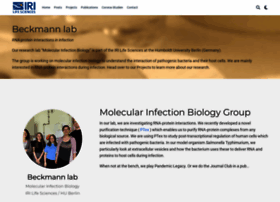 beckmannlab.de