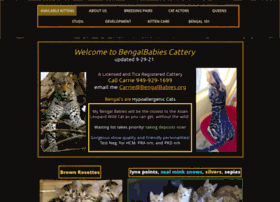 bengalbabies.org