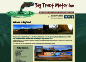 bigtrout.com.au