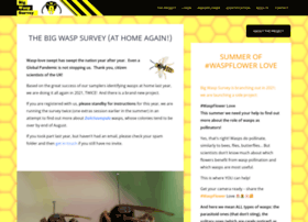 bigwaspsurvey.org