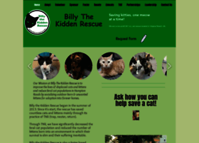 billythekiddenrescue.org