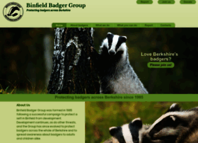 binfieldbadgers.org.uk