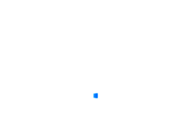 bionet.nsc.ru
