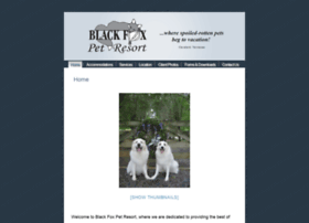 blackfoxpetresort.com