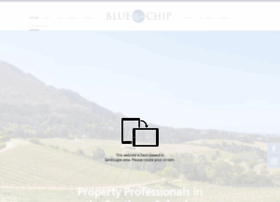 bluechip.co.za