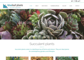 blueleafplants.co.uk