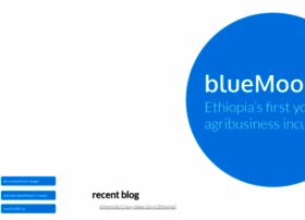 bluemoonethiopia.com