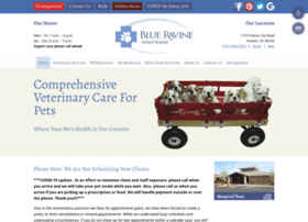 blueravineanimalhospital.com