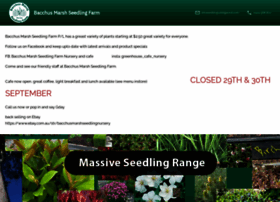 bmseedlingfarm.com.au