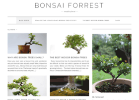 bonsaiforrest.co.uk