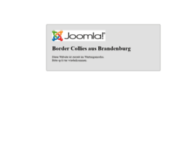 border-collies-aus-brandenburg.de