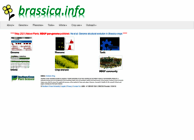 brassica.info