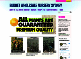 budgetnursery.com.au