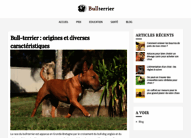 bullterrier.fr