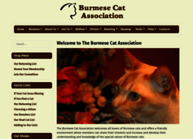 burmesecatassociation.org