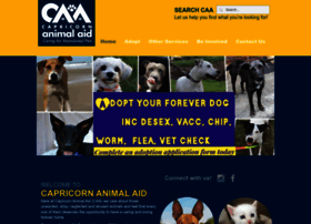 capricornanimalaid.org.au