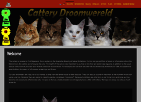 cattery-droomwereld.nl