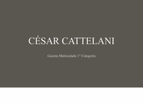 cesarcattelani.com.ar