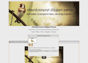 chant-chardonneret.activebb.net