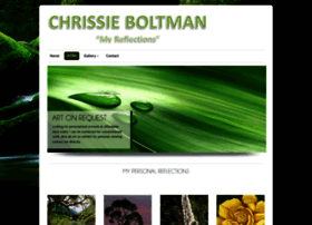 chrissieboltman.co.za