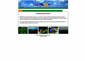 cleansweepny.org