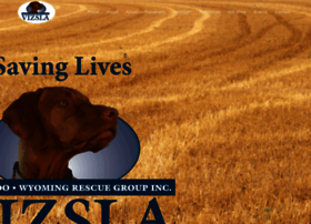 coloradovizsla.org