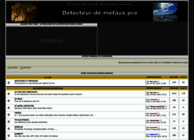 detecteur-de-metaux.pro