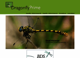 dragonflyprime.co.uk