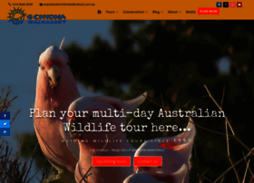 echidnawalkabout.com.au