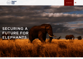 elephantcrisisfund.org