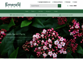 emeraldplants.co.uk