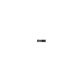 evibe.nl