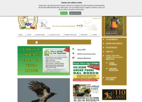 federcaccia.org