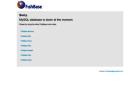 fishbase.cn