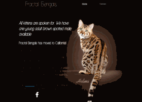 fractalfelines.com