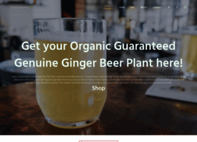 gingerbeerplant.net