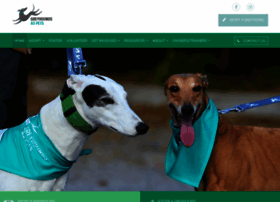 greyhoundsaspets.com.au