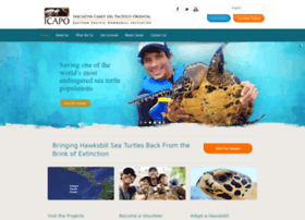 hawksbill.org