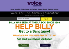 helpbilly-vfta.org