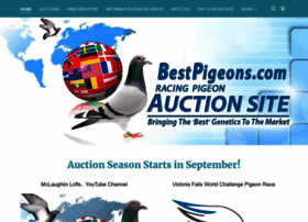 idreampigeons.com