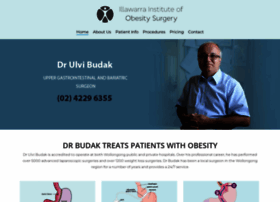 illawarraobesitysurgery.com.au