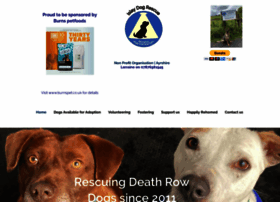 islaydogrescue.org.uk