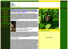 killingwasps.net