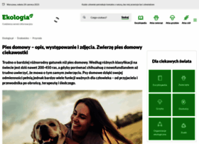 klub.pies.pl