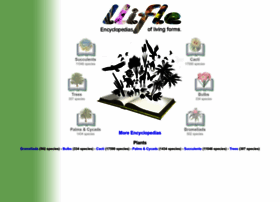 llifle.info