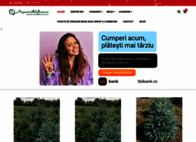 magazinuldebrazi.ro