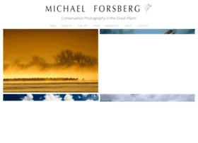 michaelforsberg.com